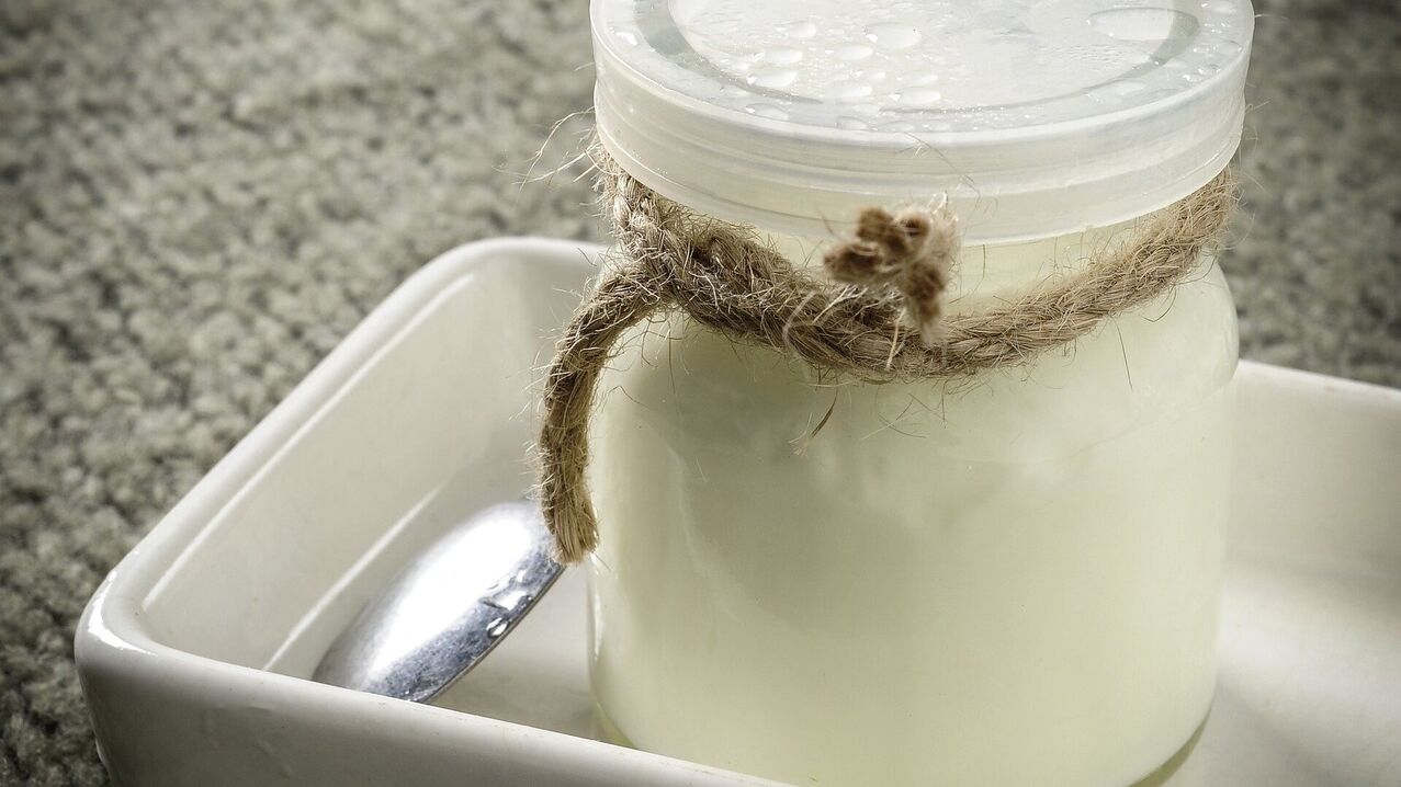 produtos lácteos fermentados no quinto dia